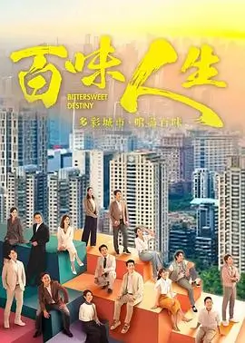标本卡：雾港夜航剧集封面